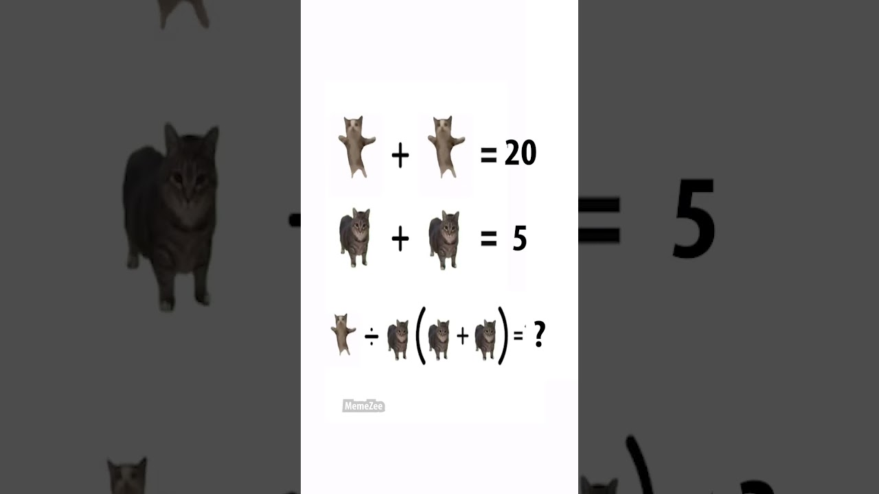 cat math
