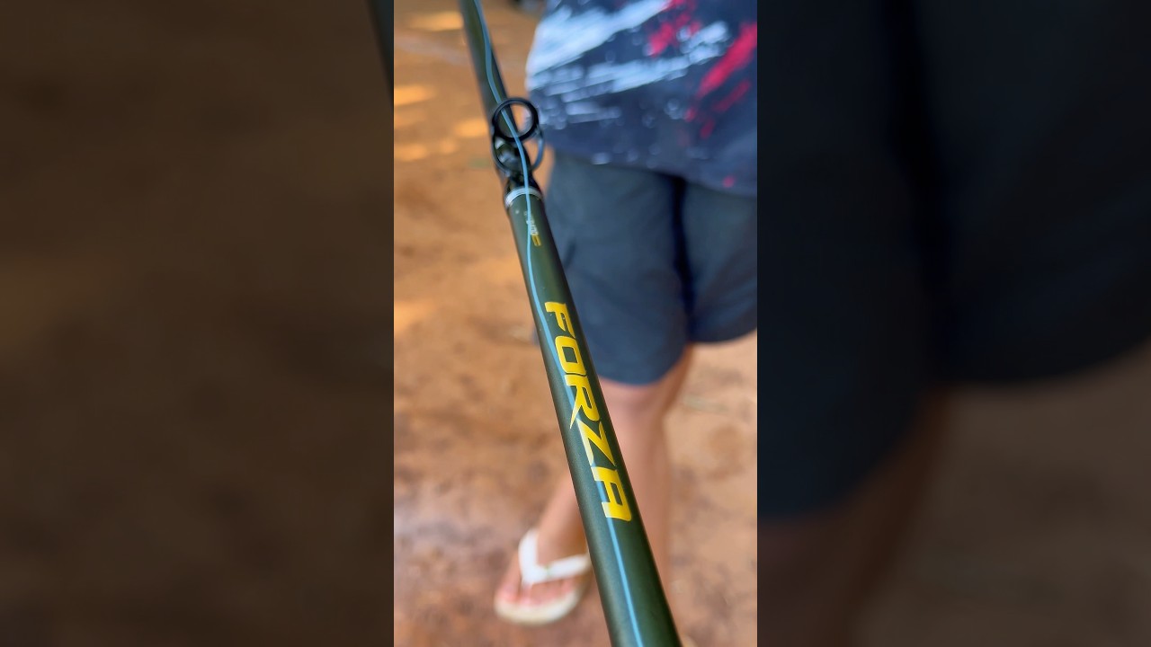 Essa pega muito peixe e &eacute; super baratinha #varadepesca