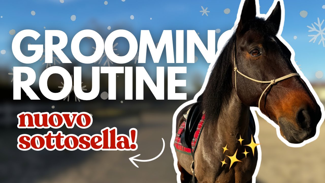 COME PREPARO E PULISCO IL MIO CAVALLO 🐴✨ EDIZIONE NATALE! 🎄