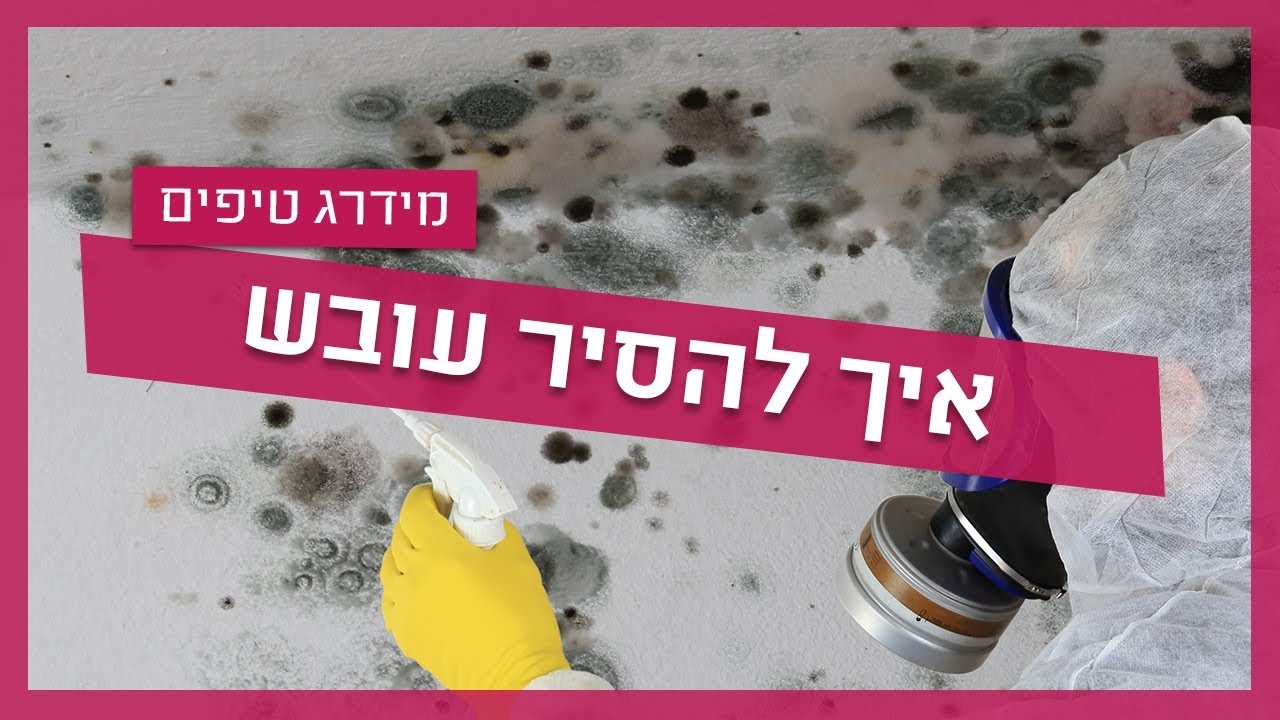 עשה זאת בעצמך - עובש בקיר - איך להסיר עובש?