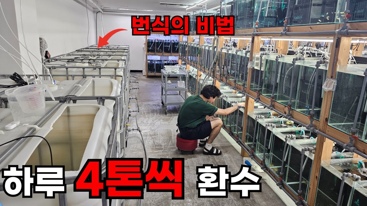 [양어장 탐방]매장이 경매에 넘어가도 번식만 하는 공무원 출신(구피,코리,오토싱 번식과 트렌드)