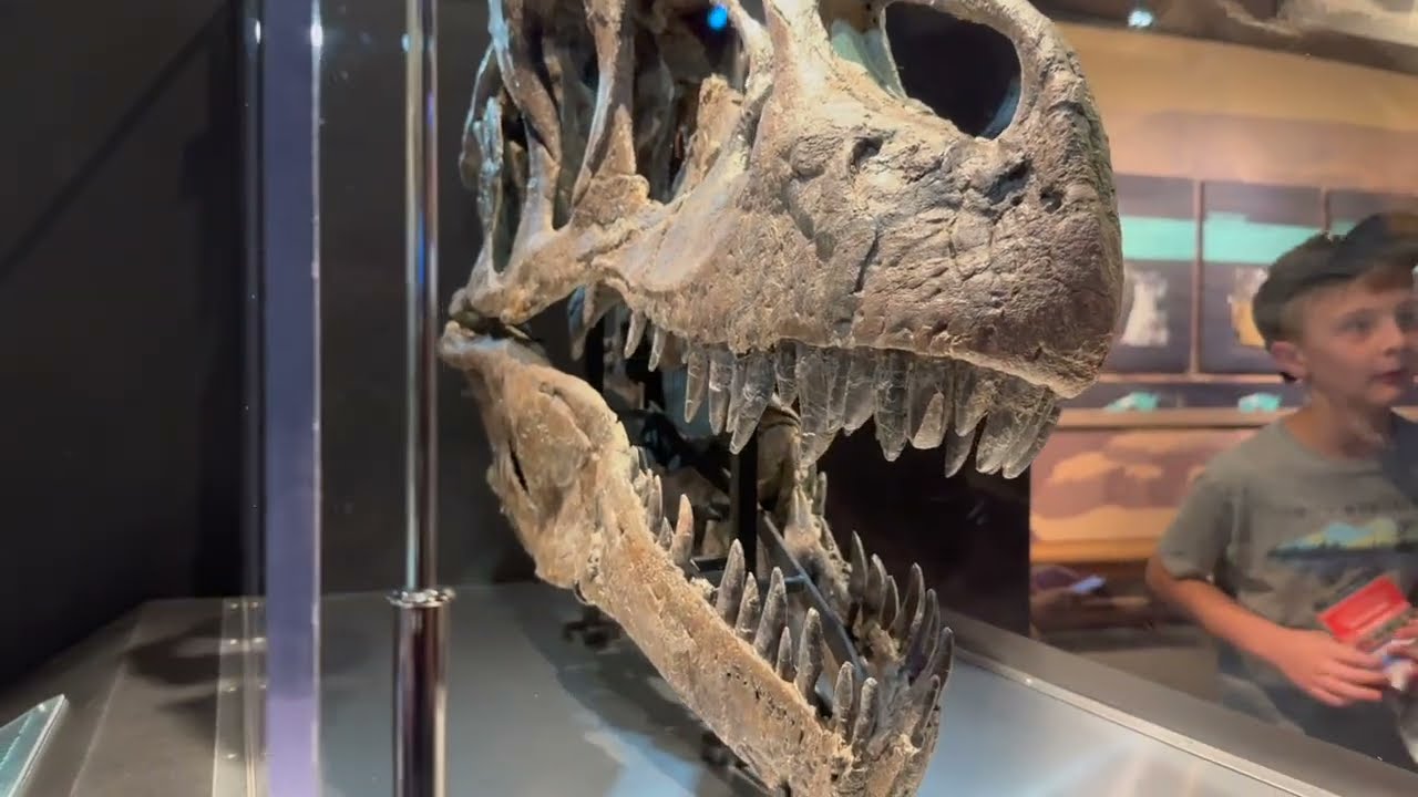 The Creation Museum | Happy Monday!