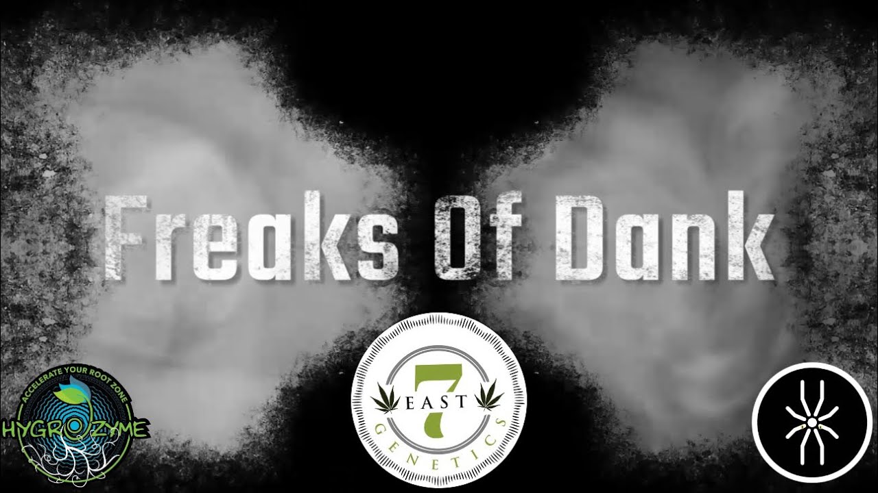 7 East Genetics Freaks Of Dank 7 days since 12/12 flip