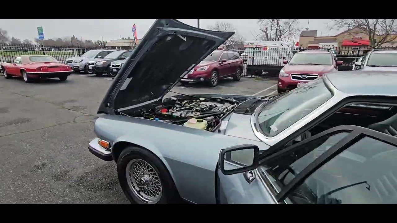 Cold Start of our 1990 Jaguar XJS V12 Coupe