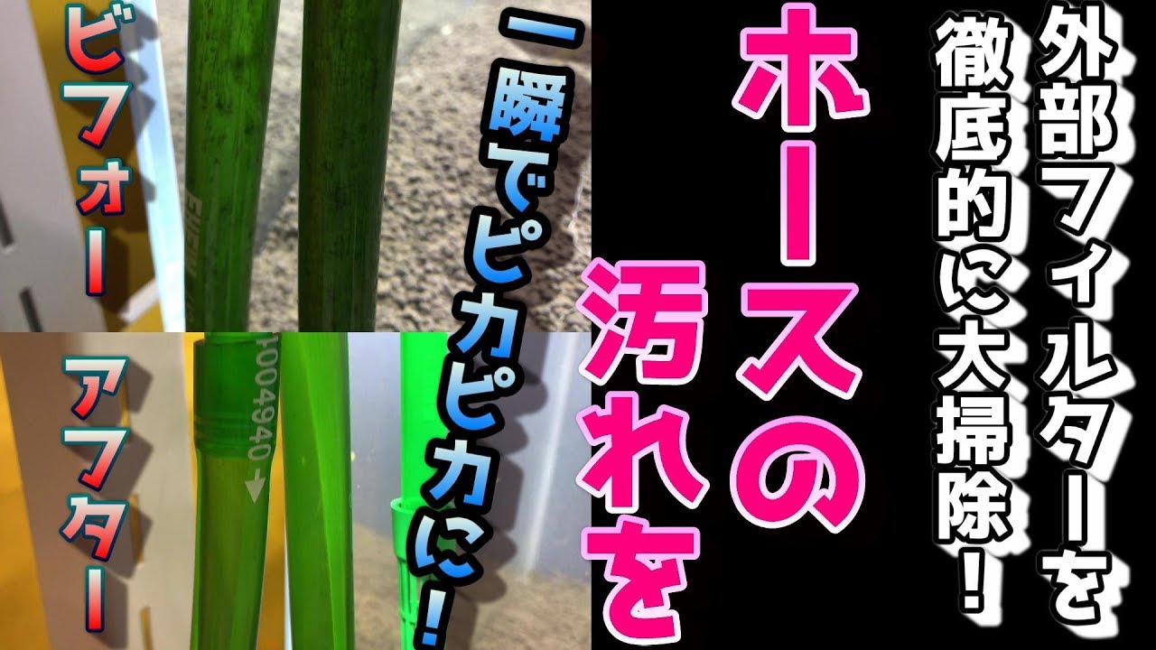 アクアリウムの裏技！外部フィルターの掃除のやり方とホースの汚れを取る方法（エーハイムクラシック2213）【水草/熱帯魚/aquarium 】