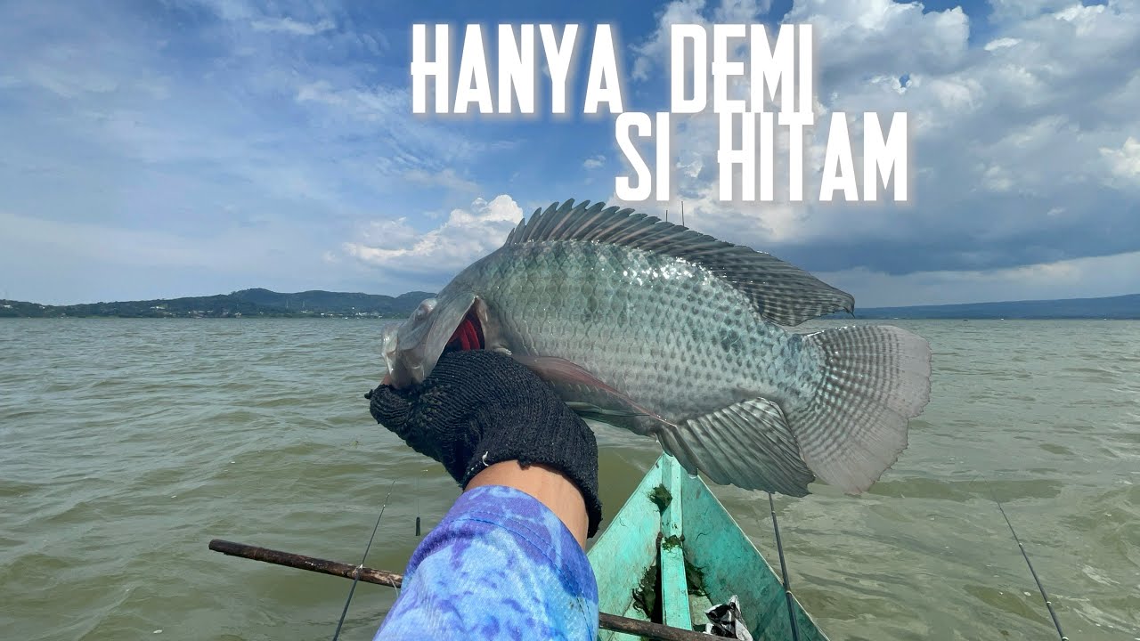 Memang Pemancing Gila ❗️ #mancingterbaru #rawapening 