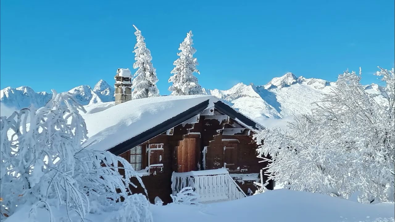 Winterwonderland Rosswald