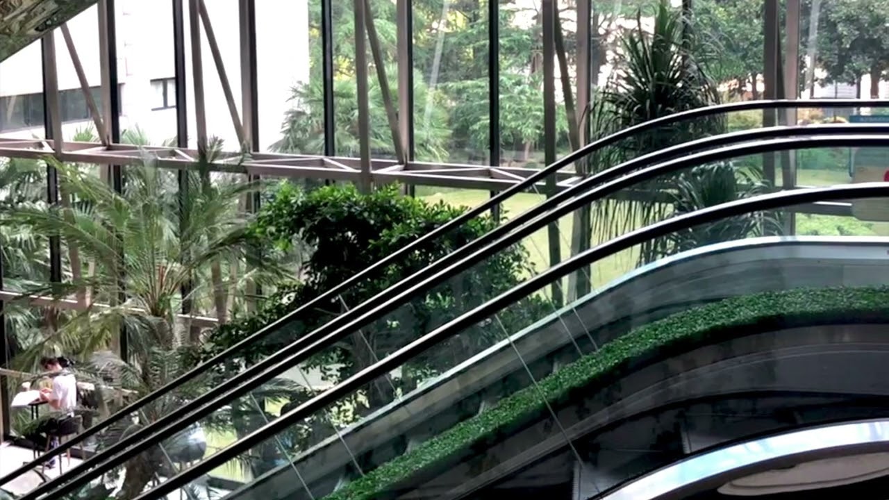 An Improvement on stairs | Ethereal transit ambience | 1 hour