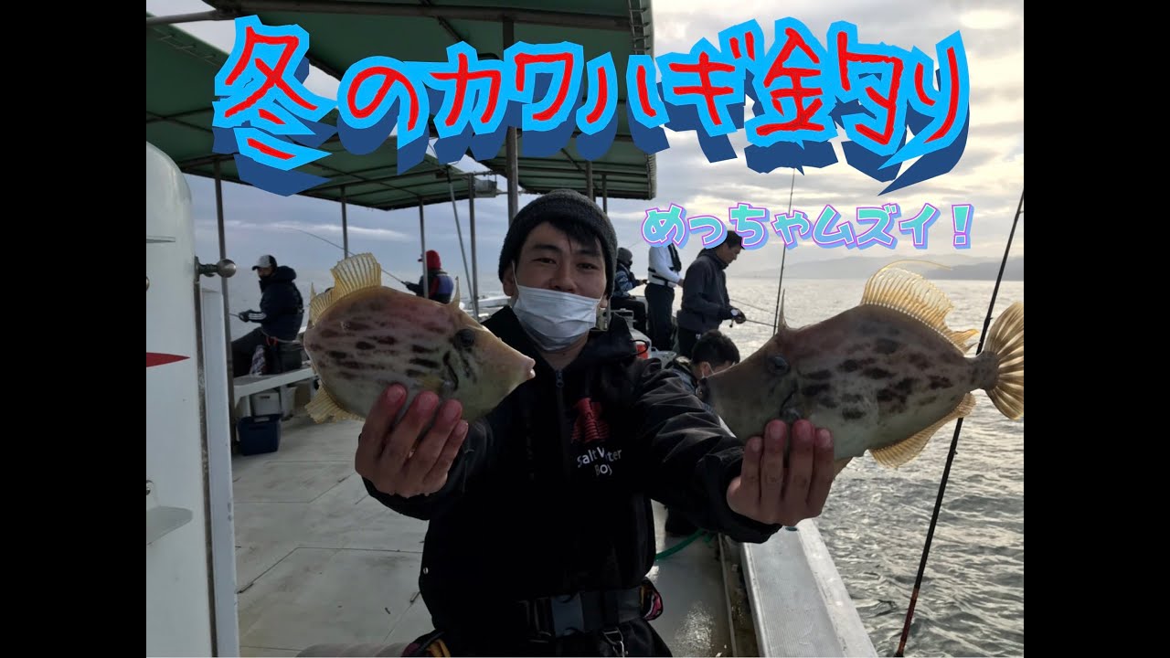 ホンマに難しい！真冬のカワハギ釣り