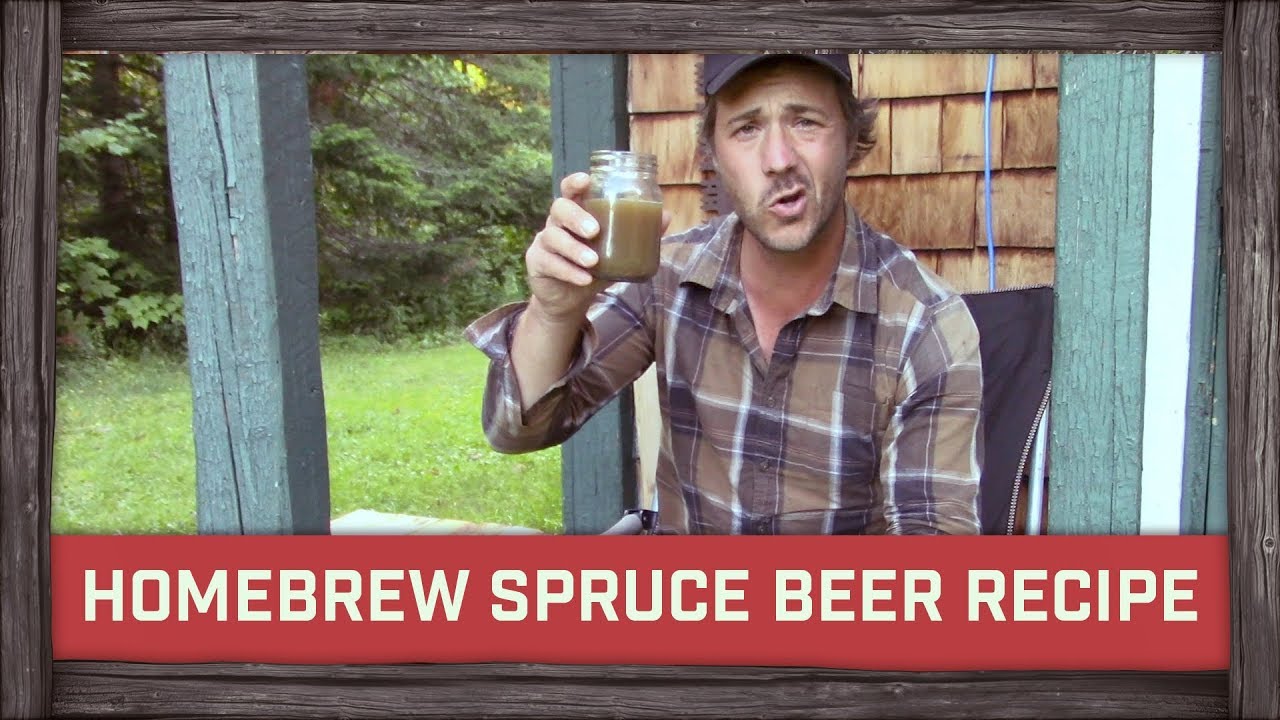 Homebrew Spruce Beer Recipe!