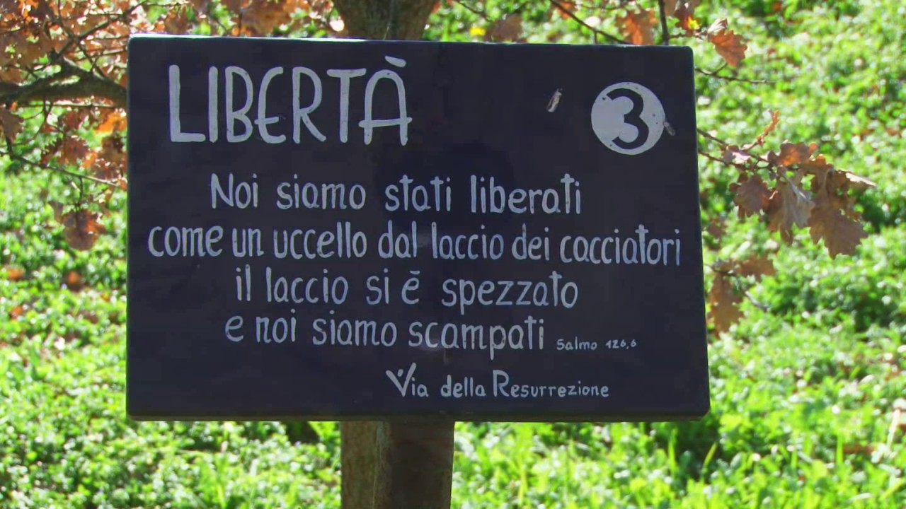 A tu per tu con Don Luigi Verdi