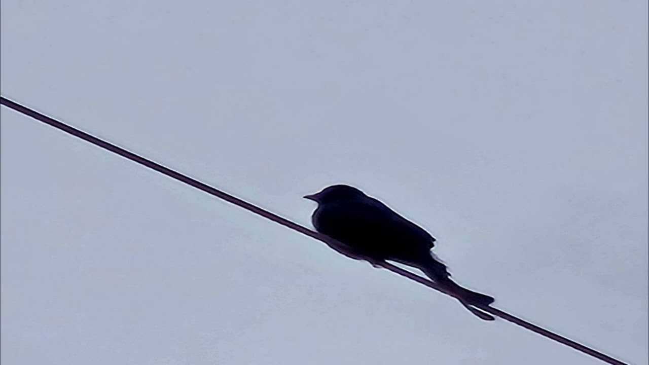 Lead me to Calvary...Strings E.Piano music