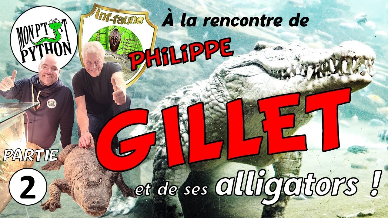 PHILIPPE GILLET nous parle de ses ALLIGATORS ! (Partie 2)