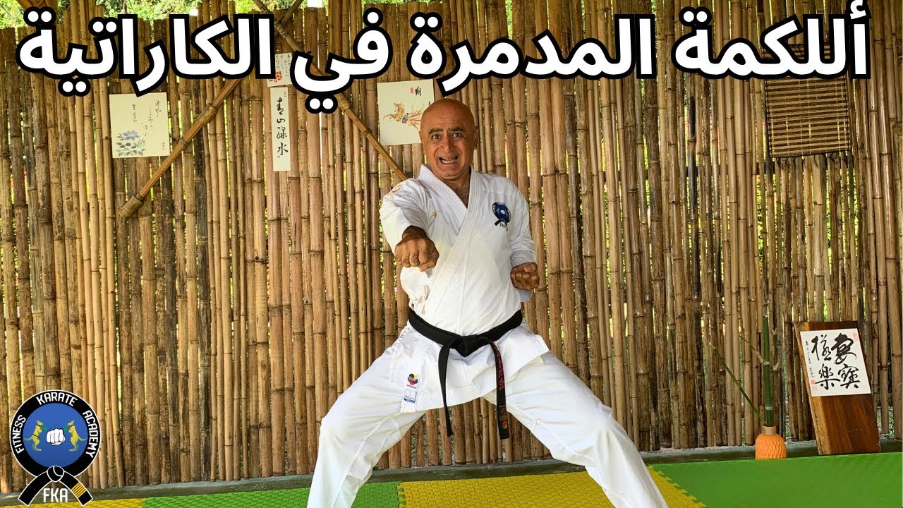 تعليم و تدريب الكاراتية الدرس الثاني / أللكمات المدمرة