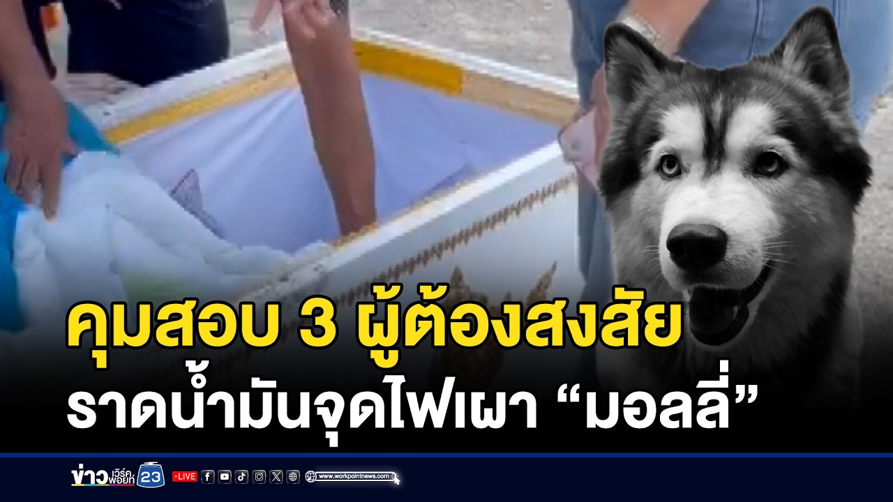 คุมสอบ 3 ผู้ต้องสงสัย ราดน้ำมันจุดไฟเผา “มอลลี่” | ชงข่าวเขย่าจอ | 20 กุมภาพันธ์ 2569