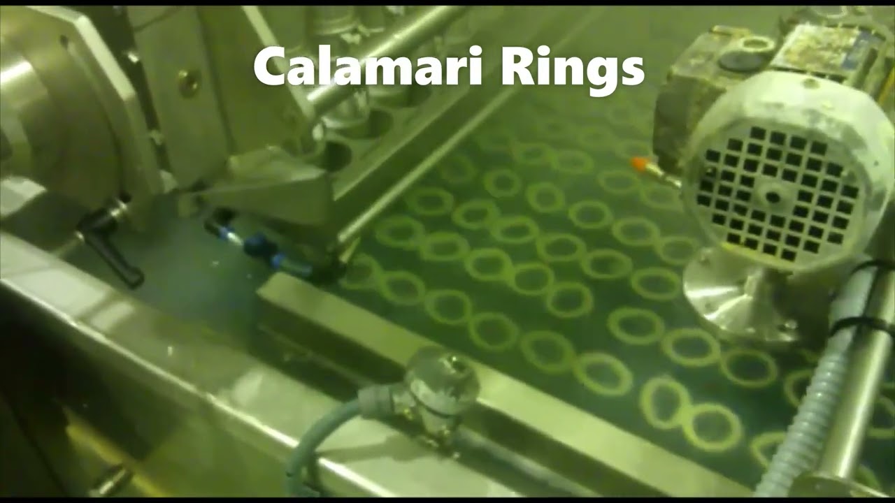 DJM Video Extrusion Calamari Rings
