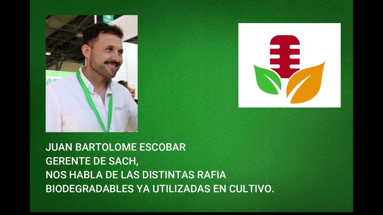 JUAN BARTOLOME ESCOBAR GERENTE DE SACH,NOS HABLA DE LAS DISTINTAS RAFIA BIODEGRADABLES YA UTILIZADAS