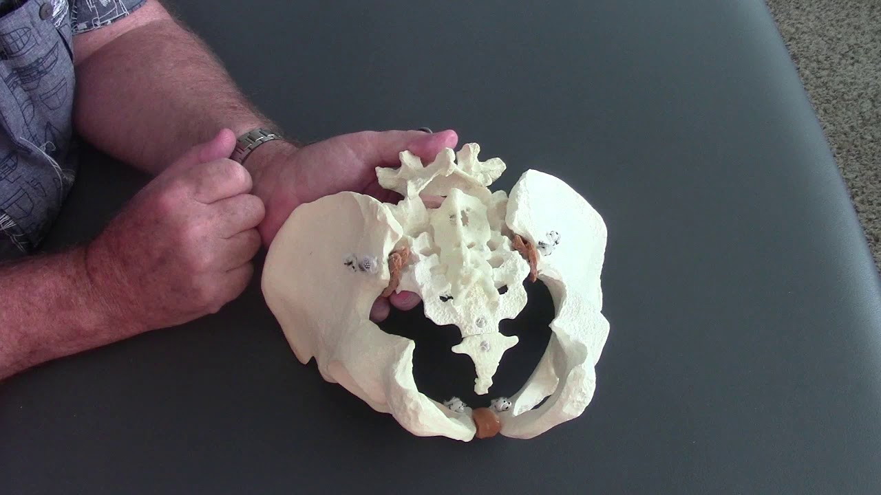 Sacral AKA Sacrum Motion Testing for SIJD Sacroiliac Joint Movement Dysfunction