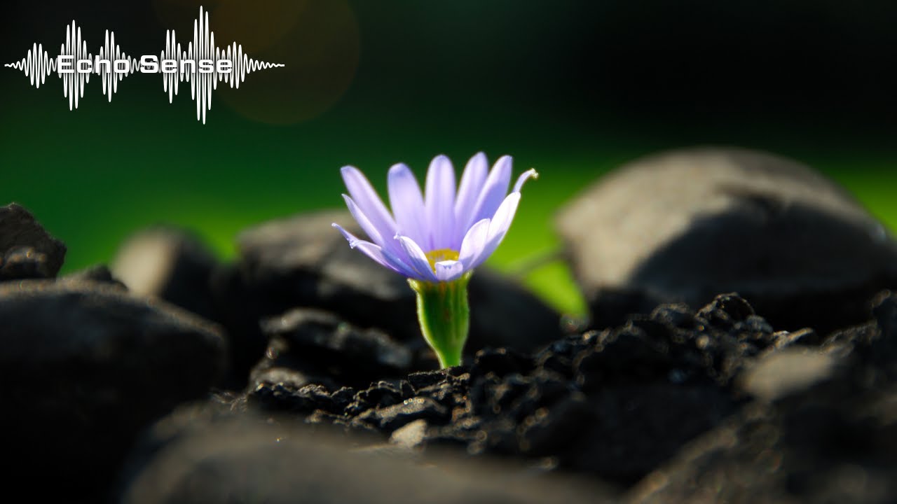Hypnotic Late Night Techno &ndash; Pulse of the City &ndash; Echo Sense Music
