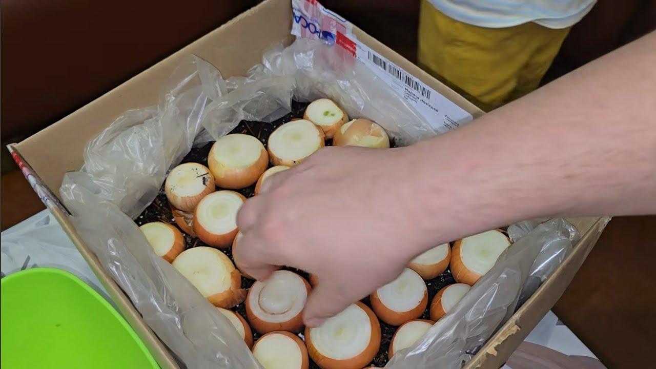 Когда очень хочется но нельзя 🤭