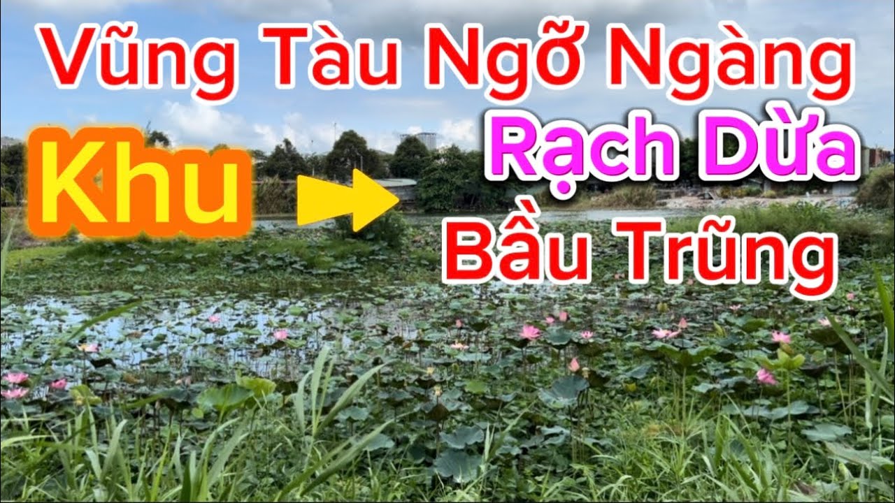 682 .Vũng Tàu Ngỡ Ngàng Khu Rạch Dừa Khu Bầu Trũng
