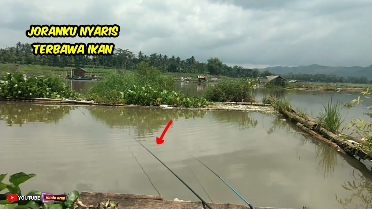 Mancing umpan lumut di lapak puthuk‼️Waduk Karang Kates @londo arap