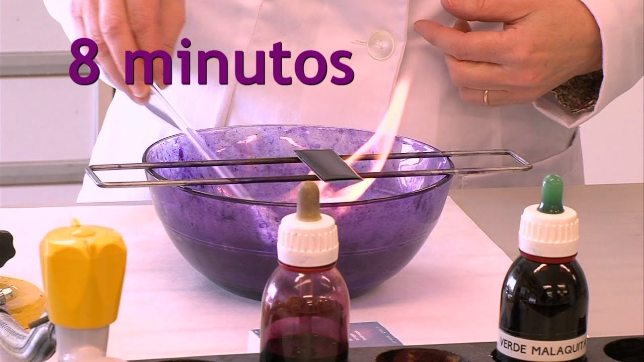 Prácticas de Microbiología. Tinción de endospora bacteriana. Vídeo 3