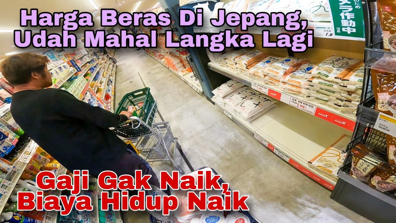 Harga Beras Di Jepang 1kg 100Rb, Udah Mahal Langka Lagi,
