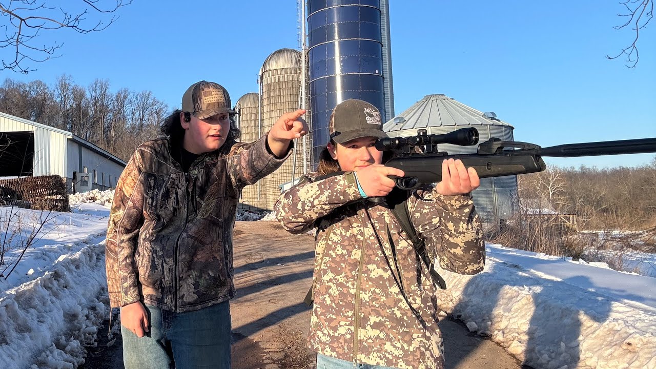 Pest bird hunting pt 2