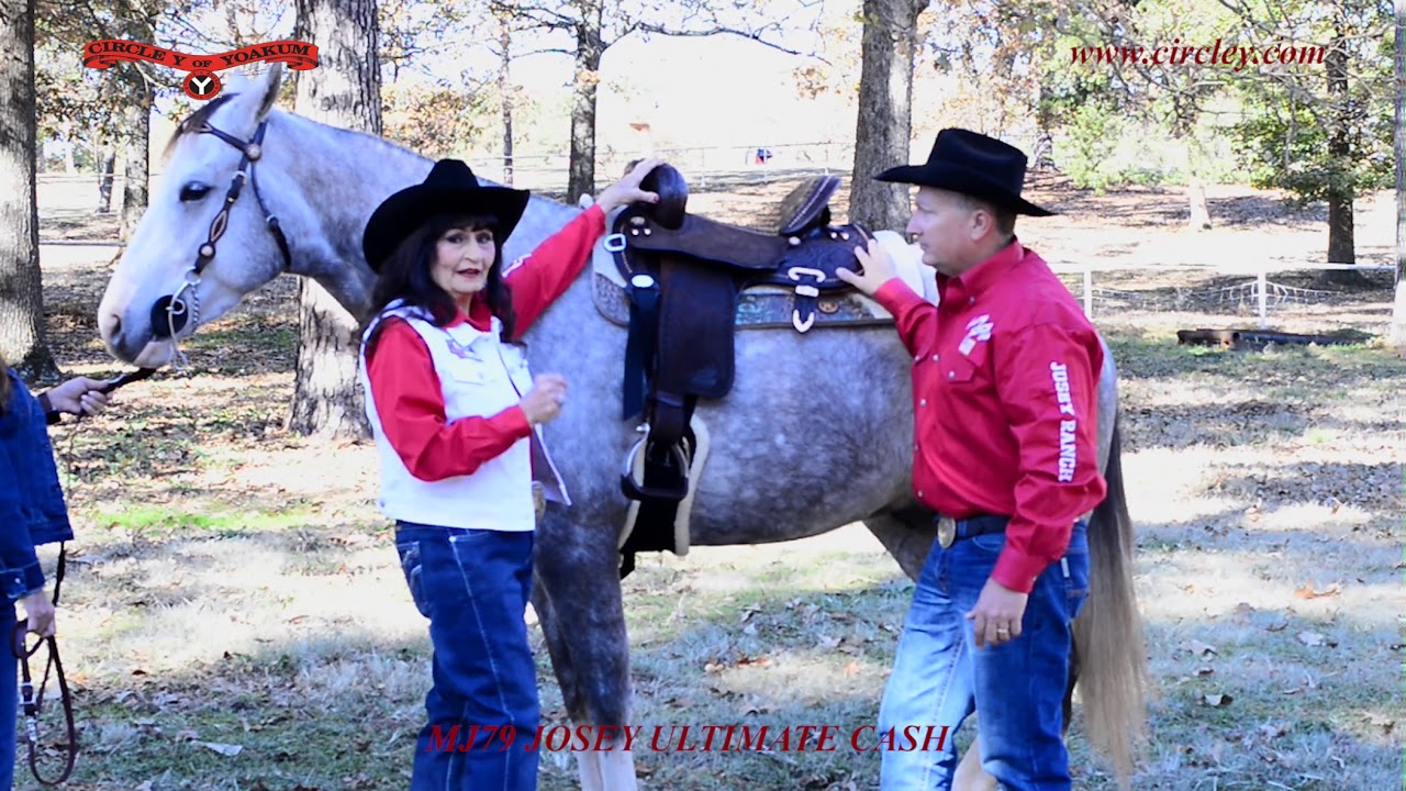 MJ79 Josey Ultimate Cash Barrel