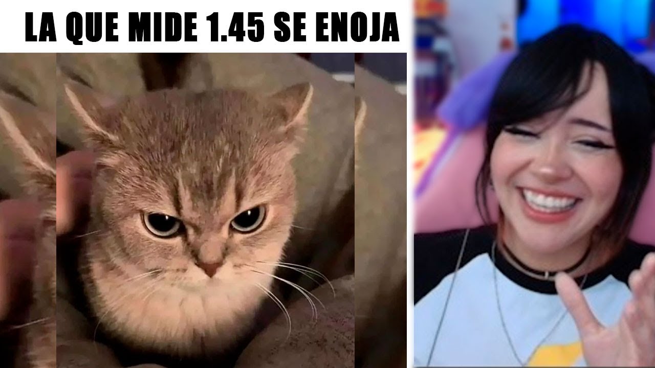 MEMES DE DISCORD || TU AMIGA LA BAJITA