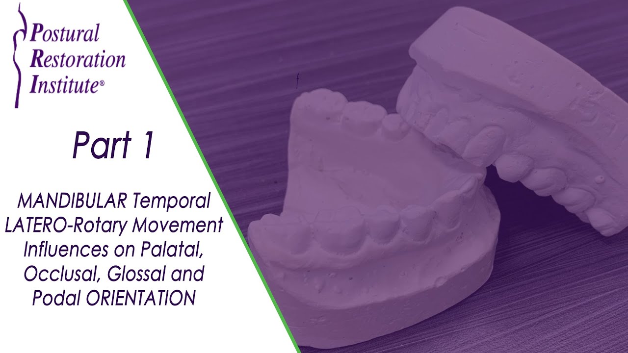Mandibular Temporal Latero–Rotary Movement Influences - Part 1