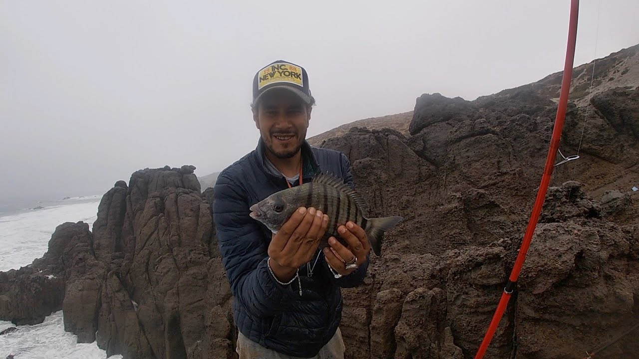 صيد الشرغو في زمن الكورونا ..ذكريات ميراللفت - Peche au Sar a Mirleft