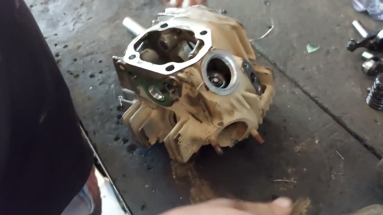 reparación de cabeza de fuerza de eco de luxe