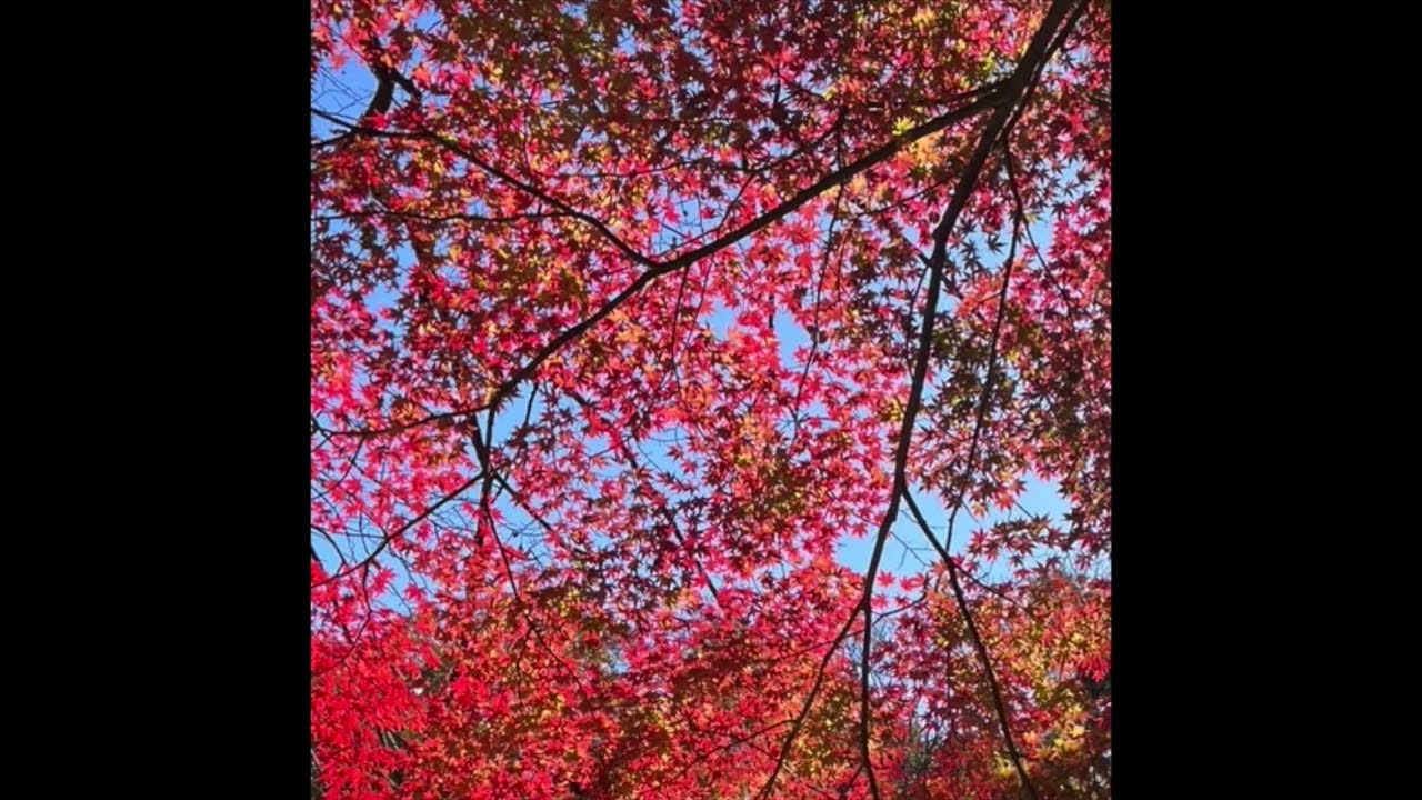 The New World「新しい世界へ。」