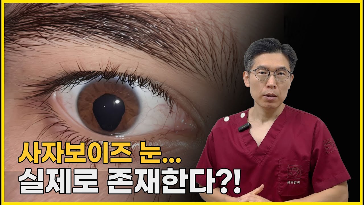 사자보이즈 눈, 실제 환자에서 찾았습니다