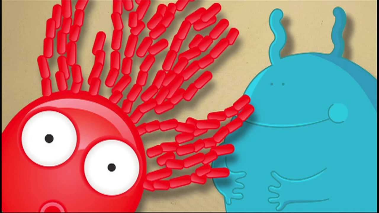 Фунгициды 3: Зачем использовать фунгициды?