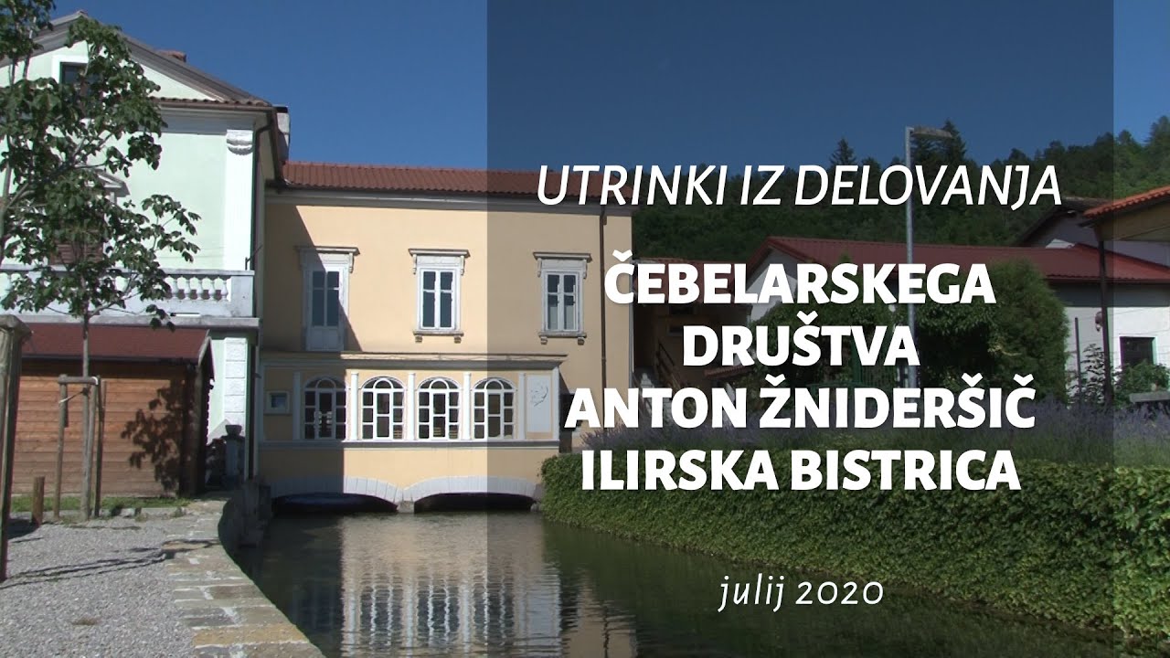 Čebelarsko društvo AŽ Ilirska Bistrica_julij 2020
