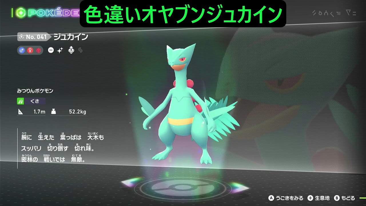 色違いオヤブンキモリ・ジュプトル・ジュカイン ポケモンレジェンズZA M次元ラッシュ Pokémon LEGENDS Z-A Mega Dimension #ポケモン