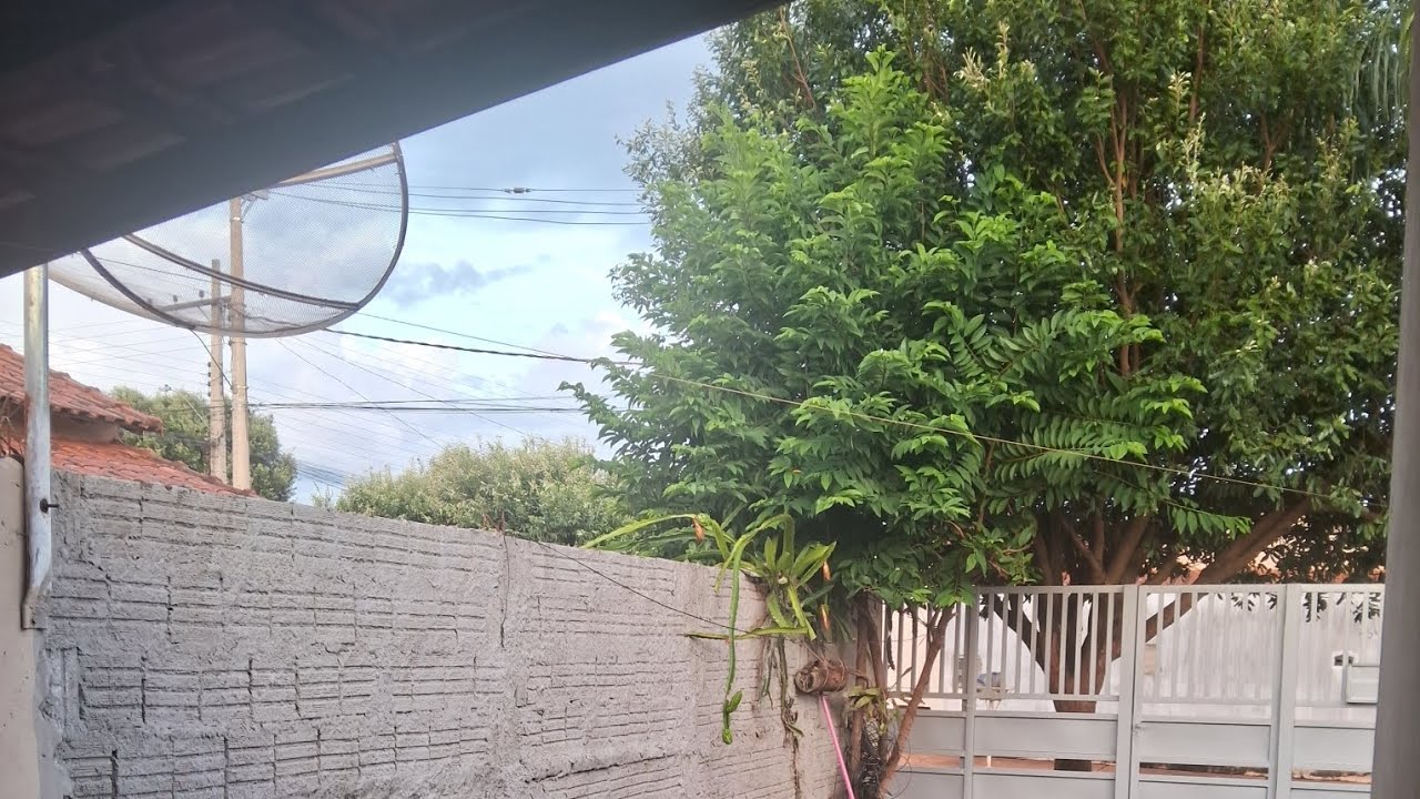 Mais uma dia de gratidão pelas minhas conquistas + bolo de flocao 