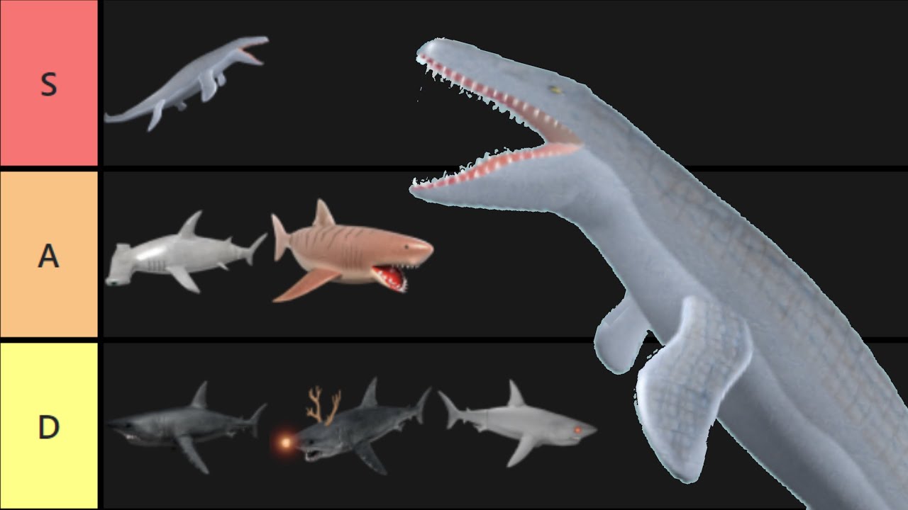 Sharkbite Shark Tier List