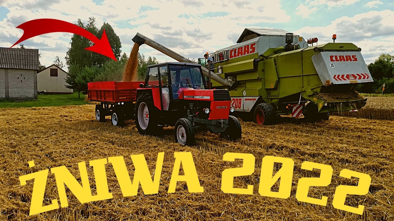Żniwa 2022  CLAAS DOMINATOR  Ursus c 385  koszenie pszenżyta