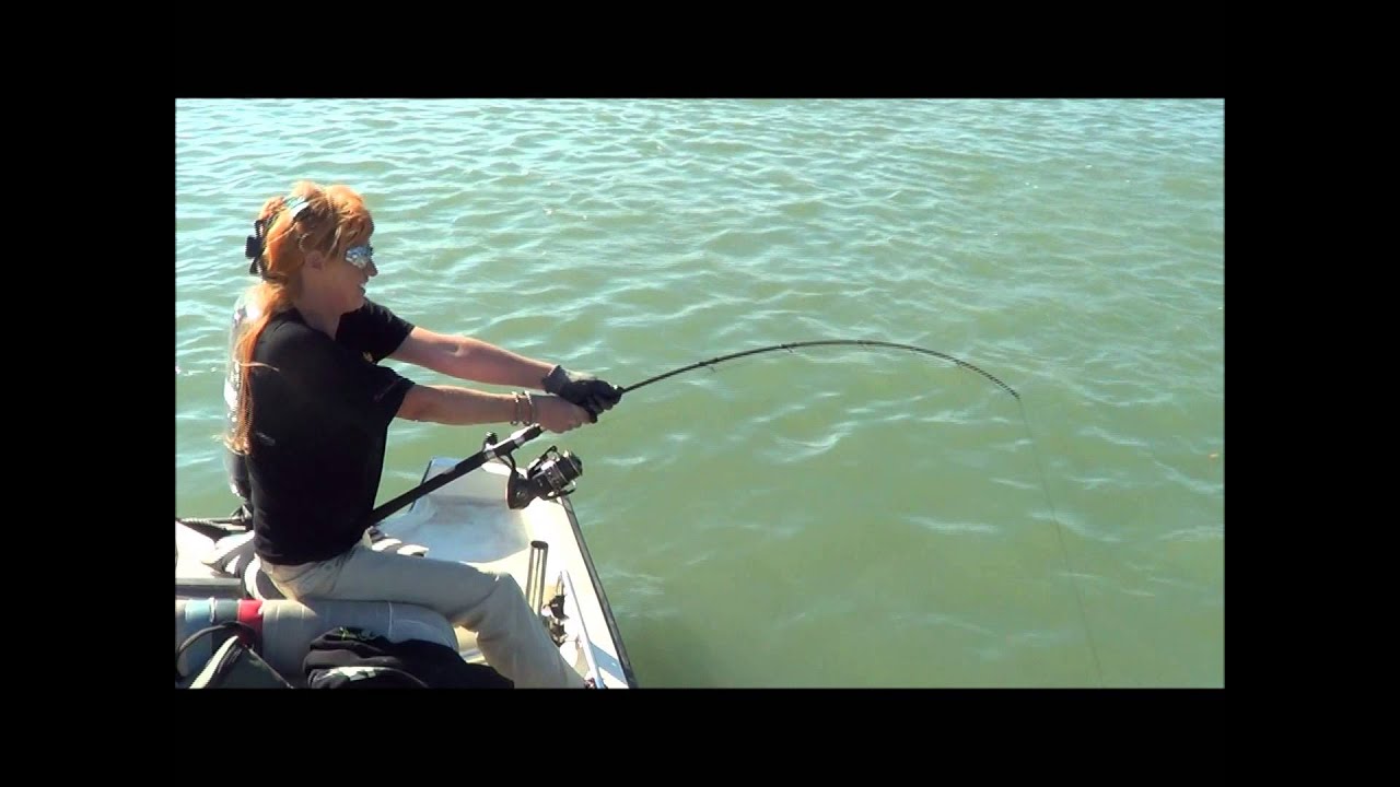 Big catfish 2m++,Grand Rhone France.Gros silure 2m++.Isabelle Groynne.