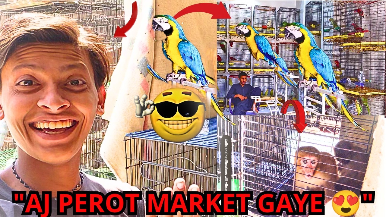 Perot Market Mein Aj Kuch Naya Dekha😱😍😍