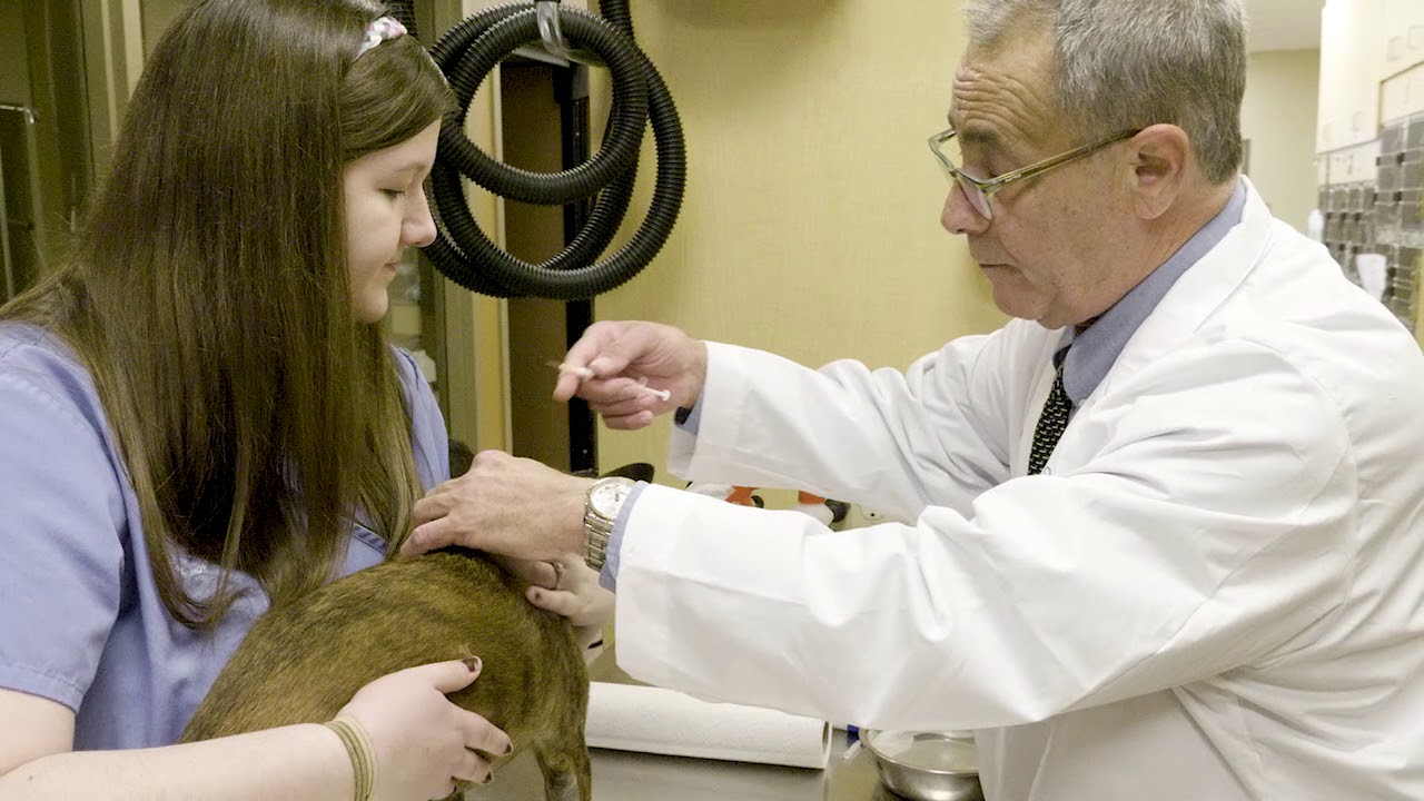 Dr  Charles London of Good Hope Animal Hospital