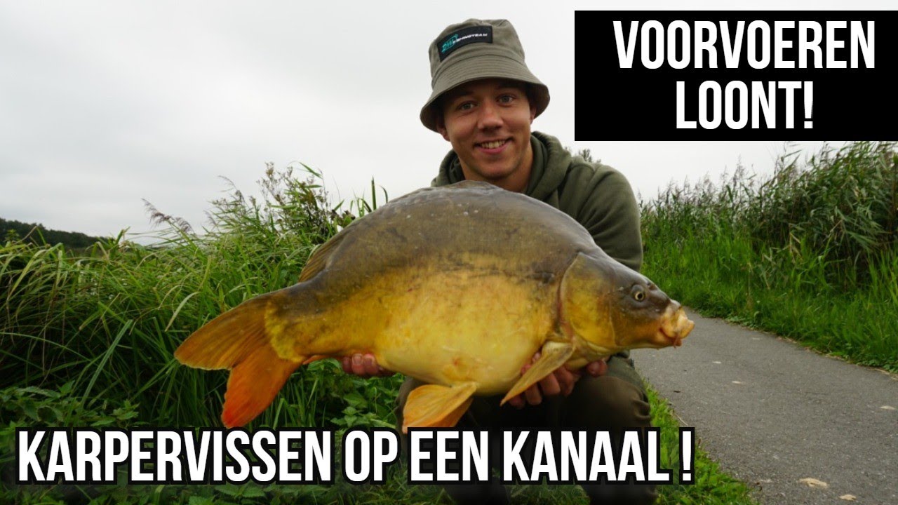 KARPERVISSEN op een GROOT KANAAL ! Voorvoeren Loont ! met DWFishingteam