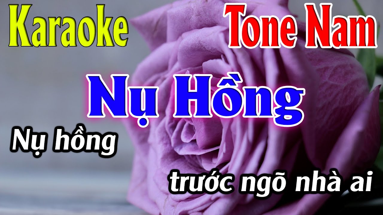 Nụ Hồng Karaoke Tone Nam ( Em ) Karaoke L&acirc;m Organ - Beat Mới