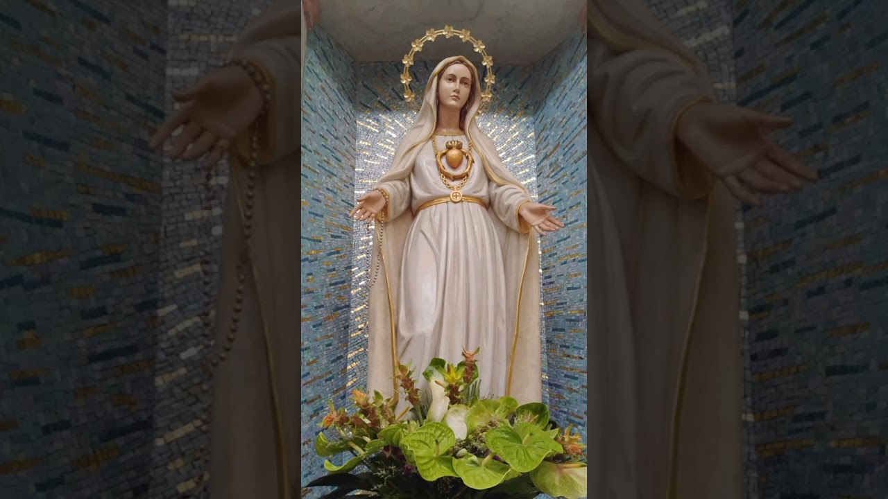 Ave Maria ( Gounod ).          Suona Pasquale Villani,canta Angeloro Felicia 