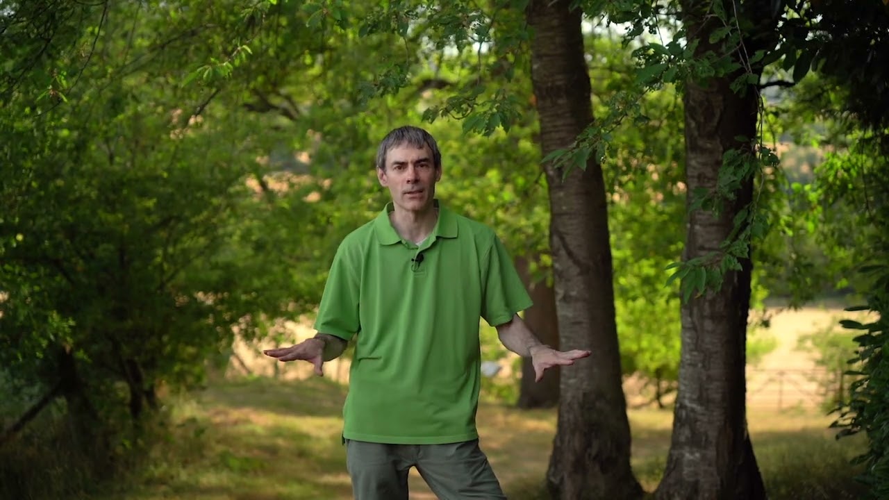 Forest Bathing Intro