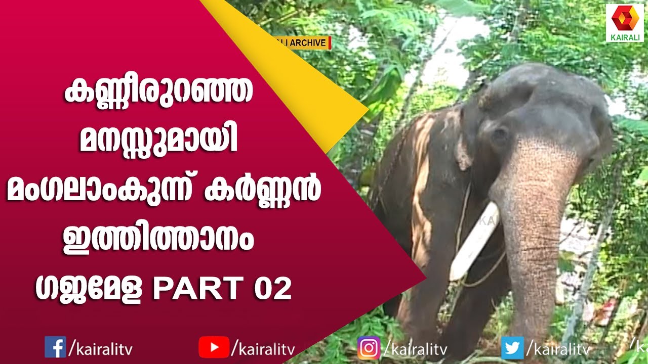 നോവായി കർണ്ണന്റെ പരാജയം | Ithithanam Gajamela Karnann | E for Elephant | Kerala Gajamela